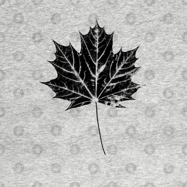 Maple Leaf Print by HammerPen